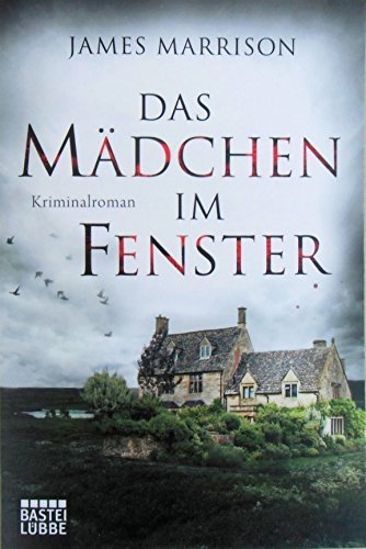 Das Mädchen im Fenster: Kriminalroman