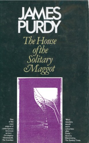 House of the Solitary Maggot, The von Peter Owen