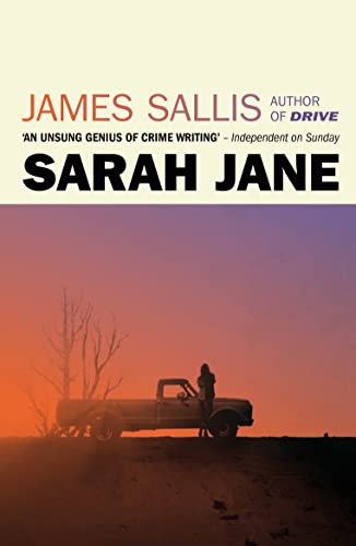 Sarah Jane von No Exit Press / Oldcastle Books