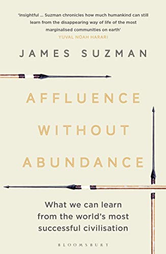 Affluence Without Abundance: What We Can Learn from the World's Most Successful Civilisation von Bloomsbury