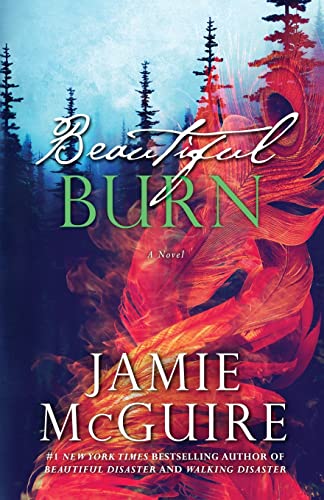Beautiful Burn: A Novel (The Maddox Brothers, Band 4)