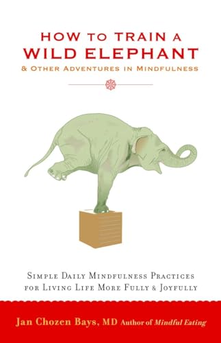 How to Train a Wild Elephant: And Other Adventures in Mindfulness von Shambhala