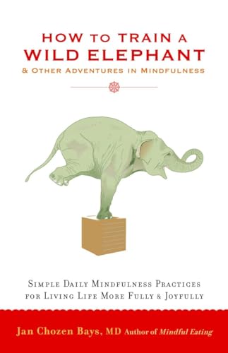 How to Train a Wild Elephant: And Other Adventures in Mindfulness von Shambhala Publications