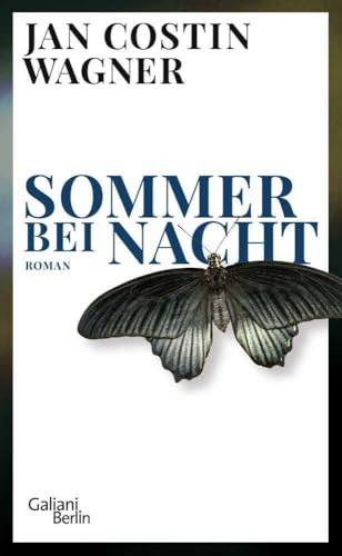 Sommer bei Nacht: Roman (Die Ben-Neven-Reihe, Band 1)