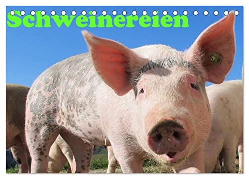 Schweinereien (Tischkalender 2024 DIN A5 quer), CALVENDO Monatskalender von CALVENDO