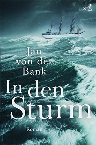 In den Sturm: Roman