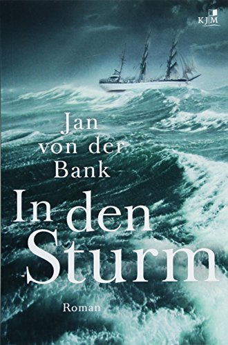 In den Sturm: Roman von KJM Buchverlag