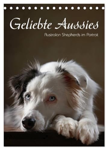 Geliebte Aussies - Australian Shepherds im Portrait (Tischkalender 2025 DIN A5 hoch), CALVENDO Monatskalender: Australian Shepherds im Studio portraitiert von CALVENDO