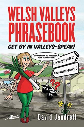 Welsh Valleys Phrasebook - Get by in Valleys-Speak! Welsh Valleys Phrasebook - Get by in Valleys-Speak! von Y Lolfa