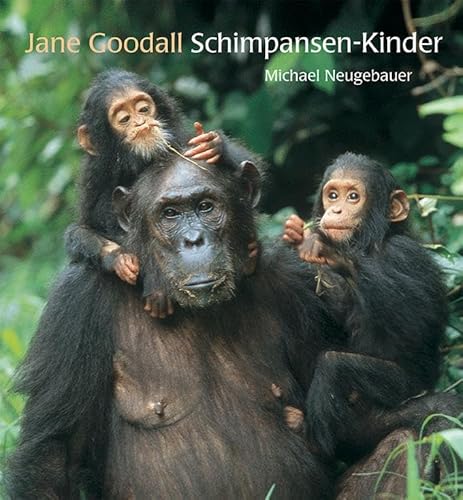 Schimpansen-Kinder Schimpansen-Kinder