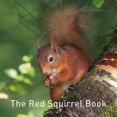The Red Squirrel Book (Nature Book)