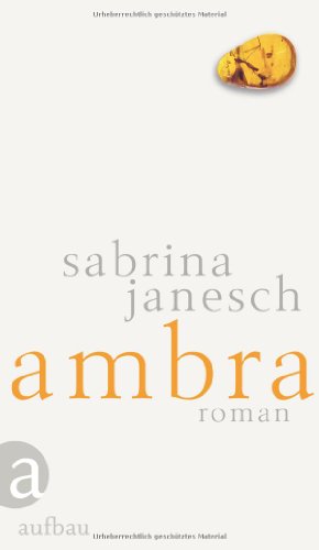 Ambra: Roman