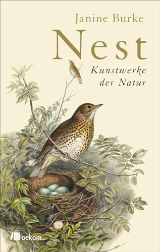 Nest: Kunstwerke der Natur von Oekom Verlag GmbH