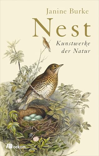 Nest: Kunstwerke der Natur. Faszinierende Baukunst der Vögel, Überlebensstrategien und beeindruckende Geschichten aus der Natur