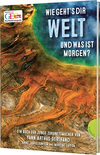 Wie geht's dir Welt und was ist morgen?: Ein Buch für junge Zukunftsmacher