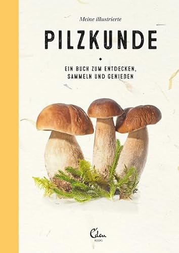 Meine illustrierte Pilzkunde: Ein Buch zum Entdecken, Sammeln und Genießen – Pilze bestimmen ganz einfach