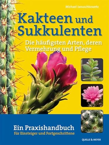 Kakteen und Sukkulenten - Die häufigsten Arten, deren Vermehrung und Pflege: Ein Praxishandbuch für Einsteiger und Fortgeschrittene