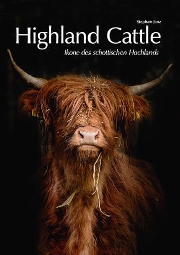 Highland Cattle: Ikone des schottischen Hochlands