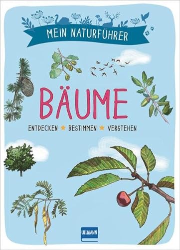 Naturführer - Bäume: Erkennen · Erforschen · Verstehen von Ullmann Medien GmbH
