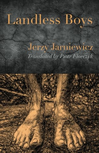 Landless Boys von MadHat Press