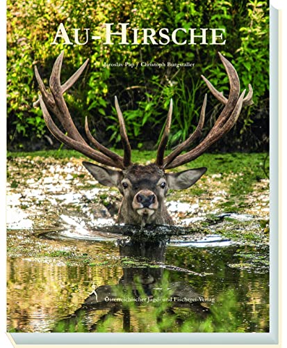 Au-Hirsche von Österreichischer Jagd- Und Fischerei-Verlag