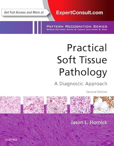 Practical Soft Tissue Pathology: A Diagnostic Approach: A Volume in the Pattern Recognition Series