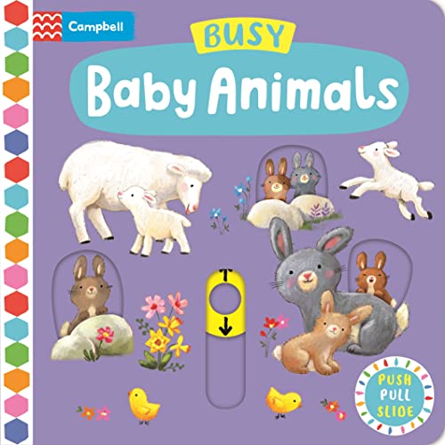 Busy Baby Animals (Campbell Busy Books, 23)