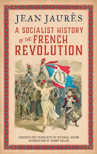 A Socialist History of the French Revolution von Pluto Press (UK)