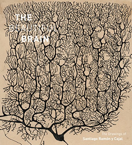 The Beautiful Brain: The Drawings of Santiago Ramon y Cajal von Abrams Books