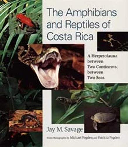 The Amphibians And Reptiles of Costa Rica: A Herpetofauna Between Two Continents, Between Two Seas von University of Chicago Press