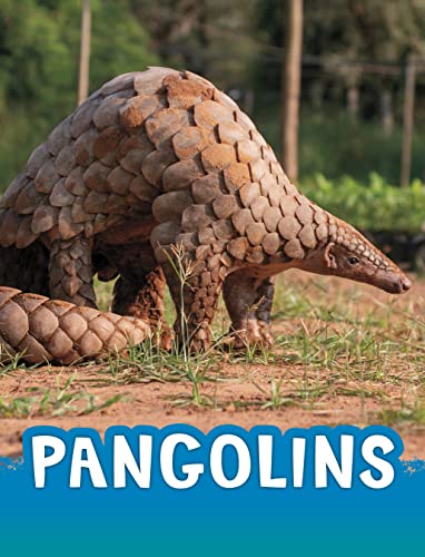 Pangolins (Animals) von Raintree