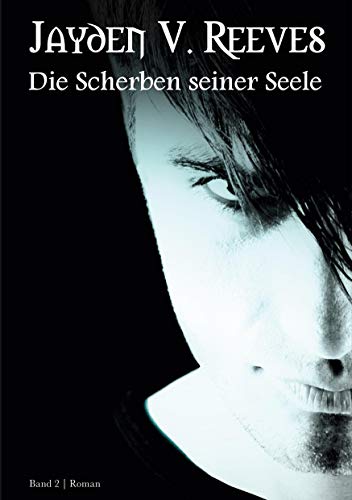 Die Scherben seiner Seele: Band 2