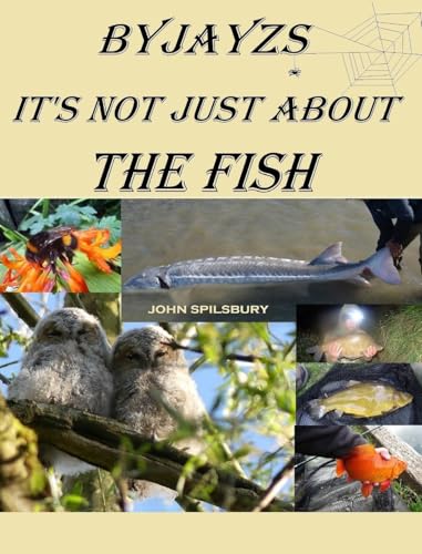 It's Not Just About the Fish von New Generation Publishing