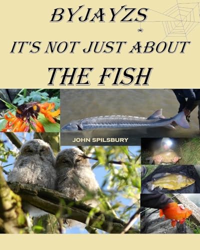 It's Not Just About the Fish von New Generation Publishing
