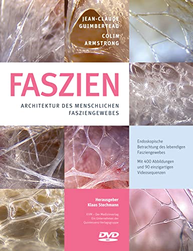 Faszien – Architektur des menschlichen Fasziengewebes (inkl. DVD): Architektur des menschlichen Fasziengewebes (mit DVD) von KVM-Der Medizinverlag