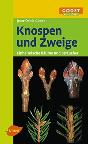 Knospen und Zweige: Einheimische Bäume und Sträucher (GODET Naturführer)
