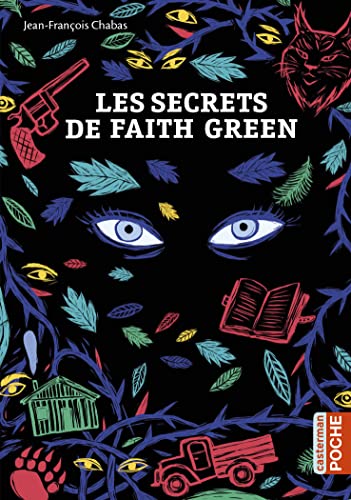 Les secrets de Faith Green von CASTERMAN