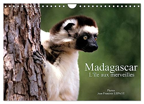 Madagascar L'île aux merveilles (Wandkalender 2025 DIN A4 quer), CALVENDO Monatskalender von CALVENDO
