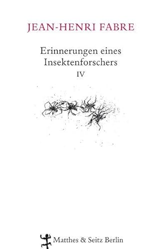 Erinnerungen eines Insektenforschers 04: Souvenirs Entomologiques von Matthes & Seitz Verlag