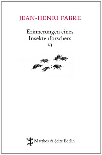 Erinnerungen eines Insektenforschers VI: Souvenirs entomologiques 06 von Matthes & Seitz Verlag