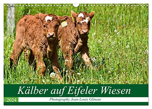 Kälber auf Eifeler Wiesen (Wandkalender 2024 DIN A3 quer), CALVENDO Monatskalender