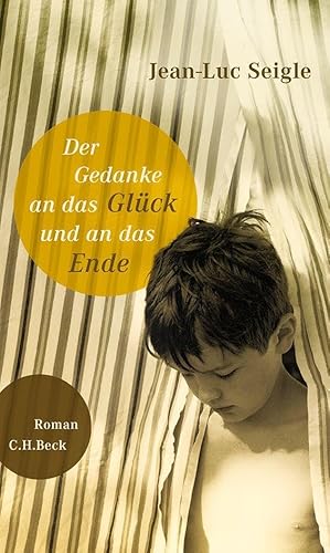 Der Gedanke an das Glück und an das Ende: Roman