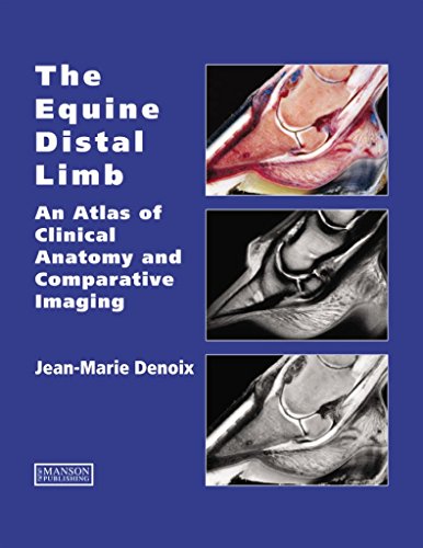 The Equine Distal Limb: An Atlas of Clinical Anatomy and Comparative Imaging von CRC Press