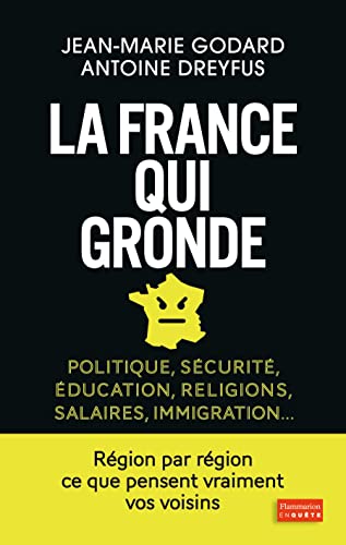La France qui gronde: POLITIQUE, SECURITÉ, EDUCATION, RELIGIONS, SALAIRES, IMMIGRATION... von FLAMMARION