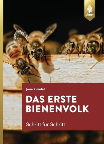 Das erste Bienenvolk – Schritt für Schritt von Ulmer Eugen Verlag
