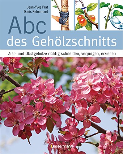 Abc des Gehölzschnitts: Zier- und Obstgehölze richtig schneiden, verjüngen, erziehen von Bassermann, Edition