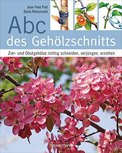 Abc des Gehölzschnitts: Zier- und Obstgehölze richtig schneiden, verjüngen, erziehen