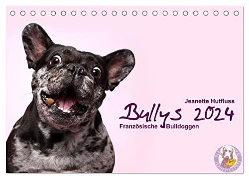 Bullys - Französische Bulldoggen 2024 (Tischkalender 2024 DIN A5 quer), CALVENDO Monatskalender von CALVENDO
