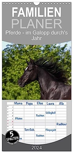 Familienplaner 2024 - Pferde - im Galopp durch's Jahr mit 5 Spalten (Wandkalender, 21 cm x 45 cm) CALVENDO