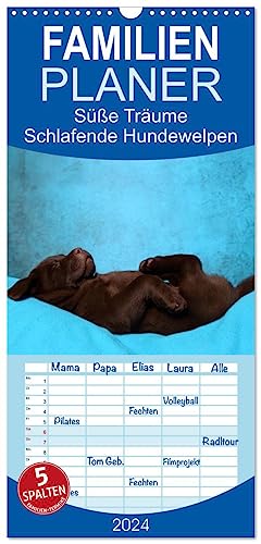 Familienplaner 2024 - Süße Träume 2024 - schlafende Hundewelpen mit 5 Spalten (Wandkalender, 21 cm x 45 cm) CALVENDO